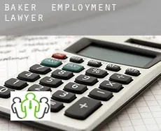 Baker  employment lawyer