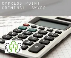 Cypress Point  criminal lawyer