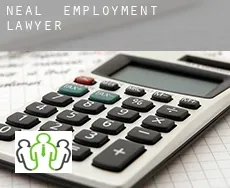 Neal  employment lawyer