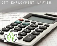 Ott  employment lawyer