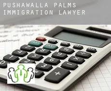 Pushawalla Palms  immigration lawyer