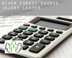 River Forest Shores  injury lawyer