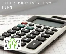 Tyler Mountain  law firm