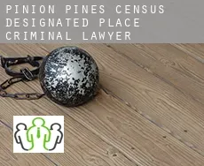 Pinion Pines  criminal lawyer