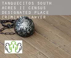 Tanquecitos South Acres II  criminal lawyer