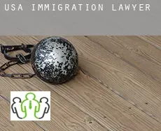 USA  immigration lawyer