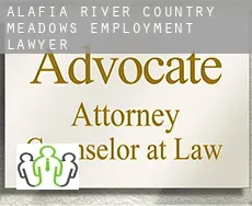 Alafia River Country Meadows  employment lawyer