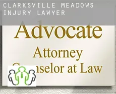 Clarksville Meadows  injury lawyer