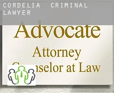 Cordelia  criminal lawyer