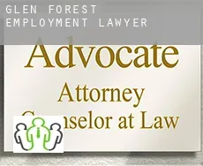 Glen Forest  employment lawyer