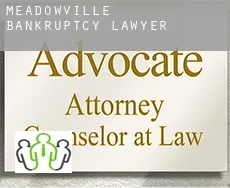 Meadowville  bankruptcy lawyer