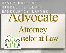 River Oaks at Harrietts Bluff  bankruptcy lawyer