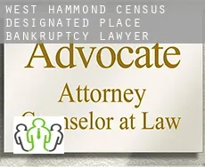 West Hammond  bankruptcy lawyer