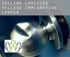 Collins Lakeside Village immigration lawyer