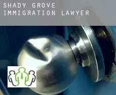Shady Grove  immigration lawyer