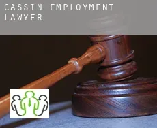 Cassin  employment lawyer