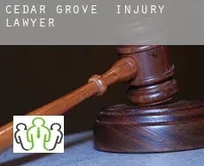 Cedar Grove  injury lawyer