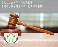 Gallant Acres  employment lawyer