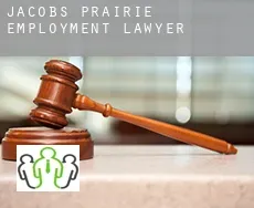 Jacobs Prairie  employment lawyer