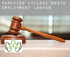 Parkview Village North  employment lawyer