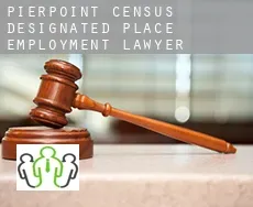 Pierpoint  employment lawyer