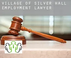 Village of Silver Hall  employment lawyer