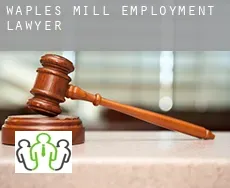 Waples Mill  employment lawyer