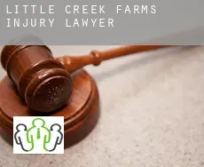 Little Creek Farms  injury lawyer