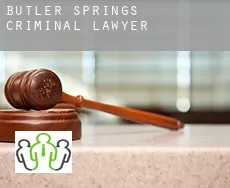 Butler Springs  criminal lawyer