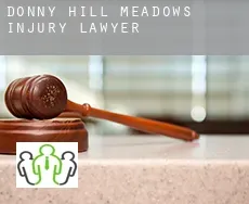 Donny Hill Meadows  injury lawyer