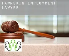 Fawnskin  employment lawyer