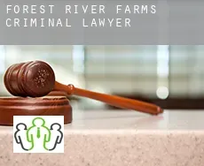 Forest River Farms  criminal lawyer