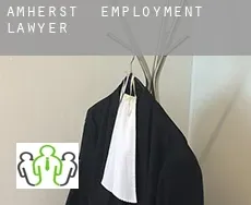 Amherst  employment lawyer