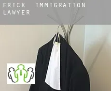 Erick  immigration lawyer