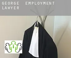 George  employment lawyer