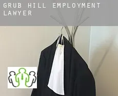 Grub Hill  employment lawyer
