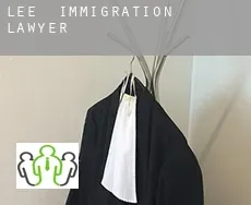 Lee immigration lawyer