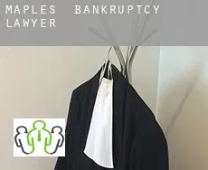 Maples  bankruptcy lawyer