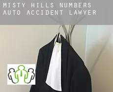 Misty Hills Numbers 8-10  auto accident lawyer