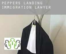 Peppers Landing  immigration lawyer