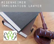 Misenheimer  immigration lawyer