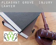 Pleasant Grove  injury lawyer