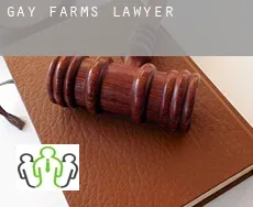 Gay Farms  lawyer