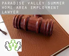 Paradise Valley Summer Home Area  employment lawyer