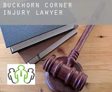Buckhorn Corner  injury lawyer