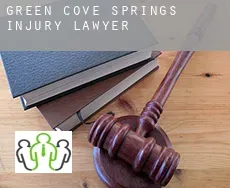 Green Cove Springs  injury lawyer