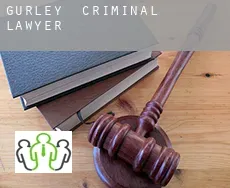 Gurley  criminal lawyer