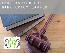 Lake Karylbrook  bankruptcy lawyer