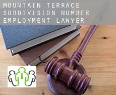 Mountain Terrace Subdivision Number 1-4  employment lawyer