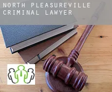 North Pleasureville  criminal lawyer
